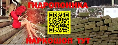 a pvp Бийск