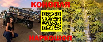 a pvp Бийск