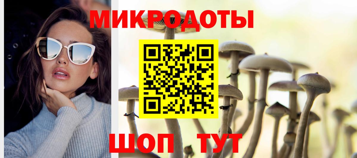 Кизилюрт  Галлюциногенные грибы Psilocybine cubensis  Вход с VPN 